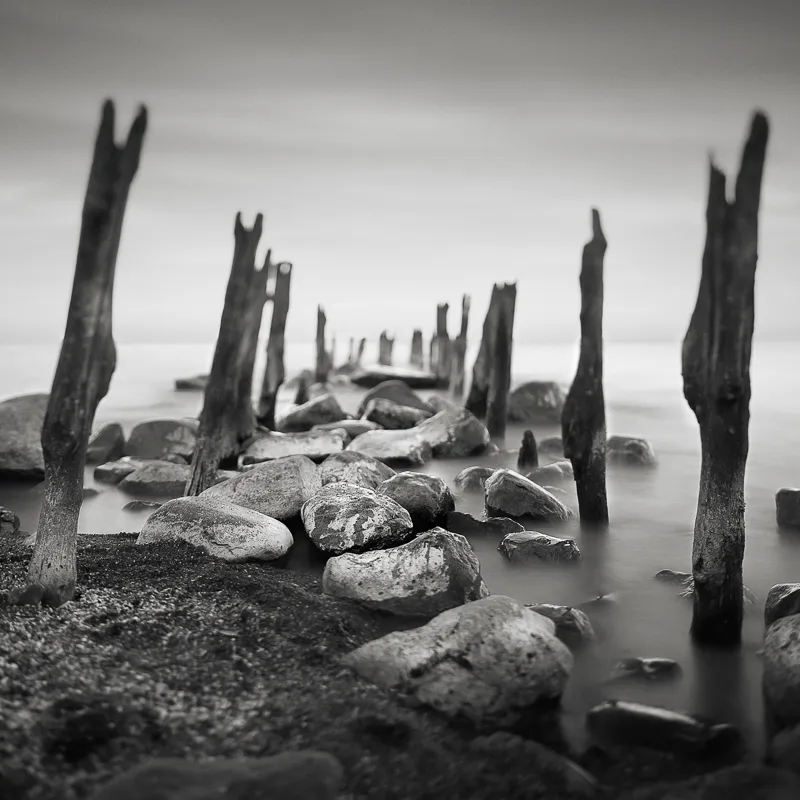 Last Known Surroundings