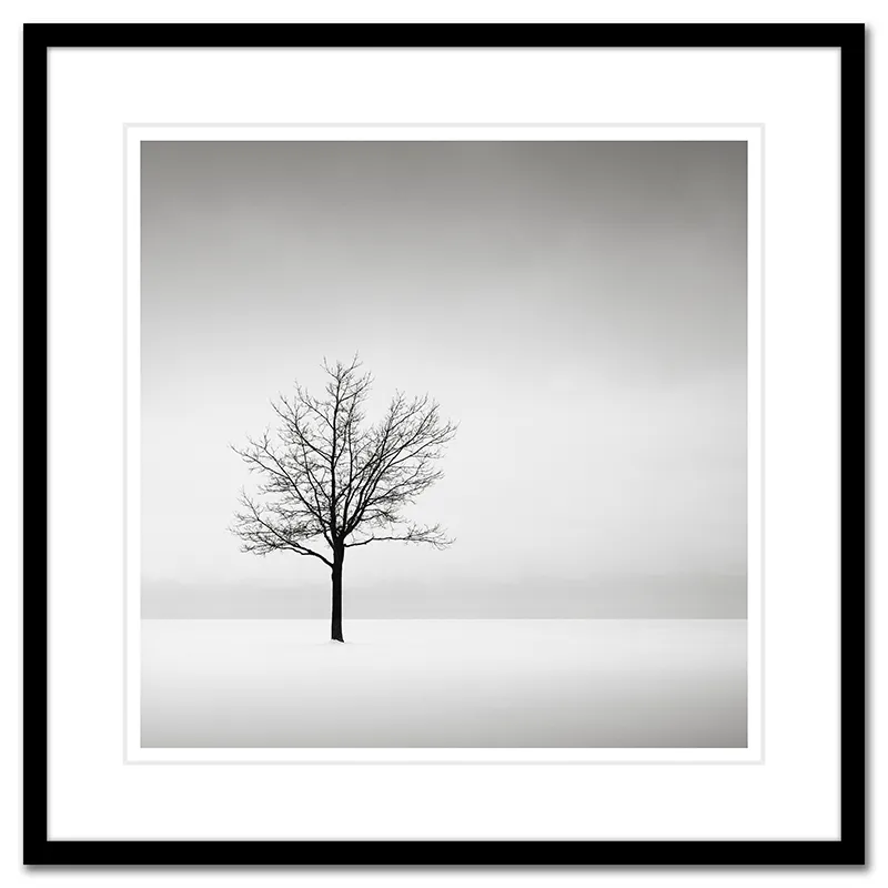 Solitude