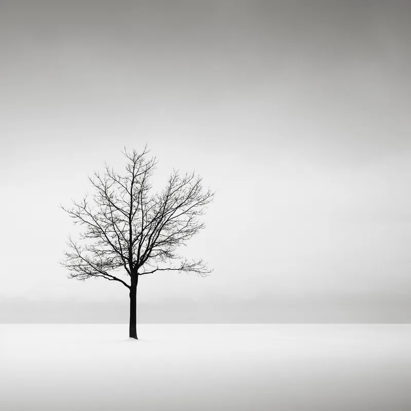 Solitude