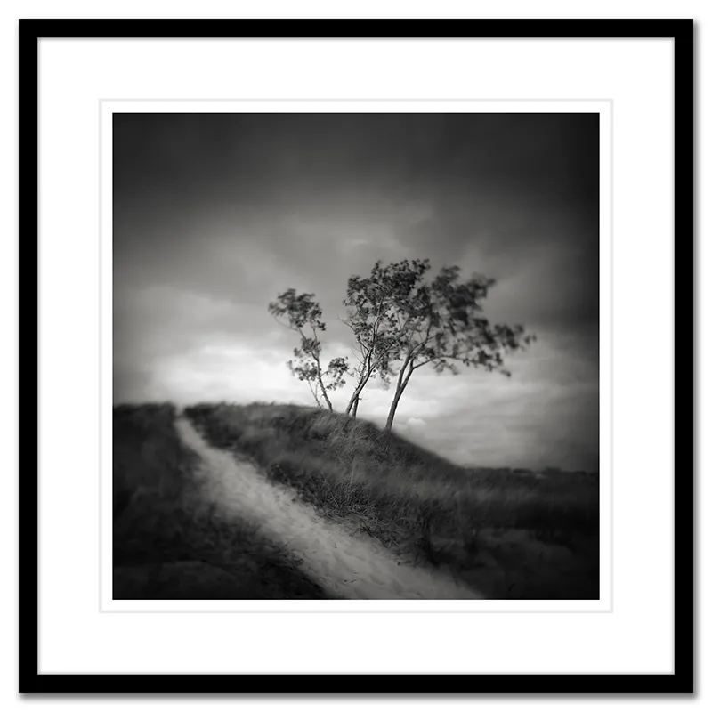 The Path
