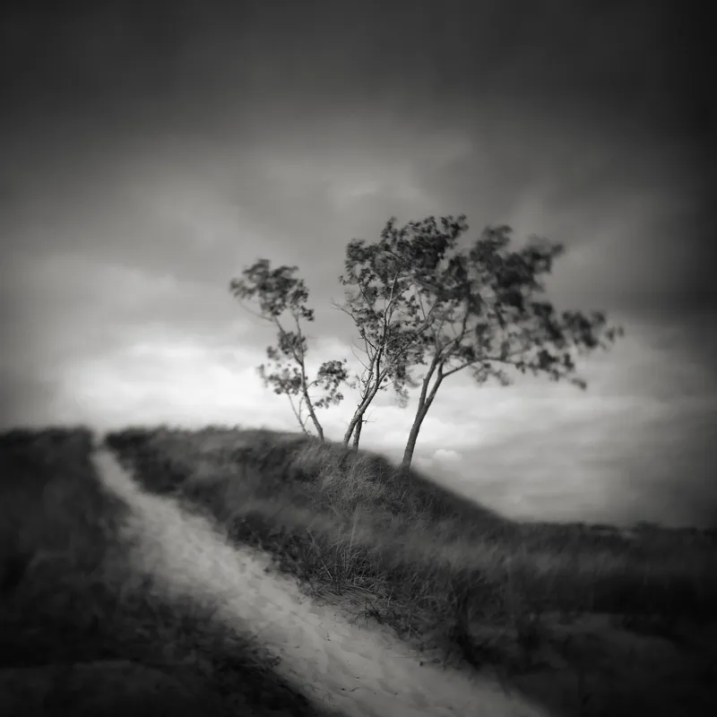 The Path