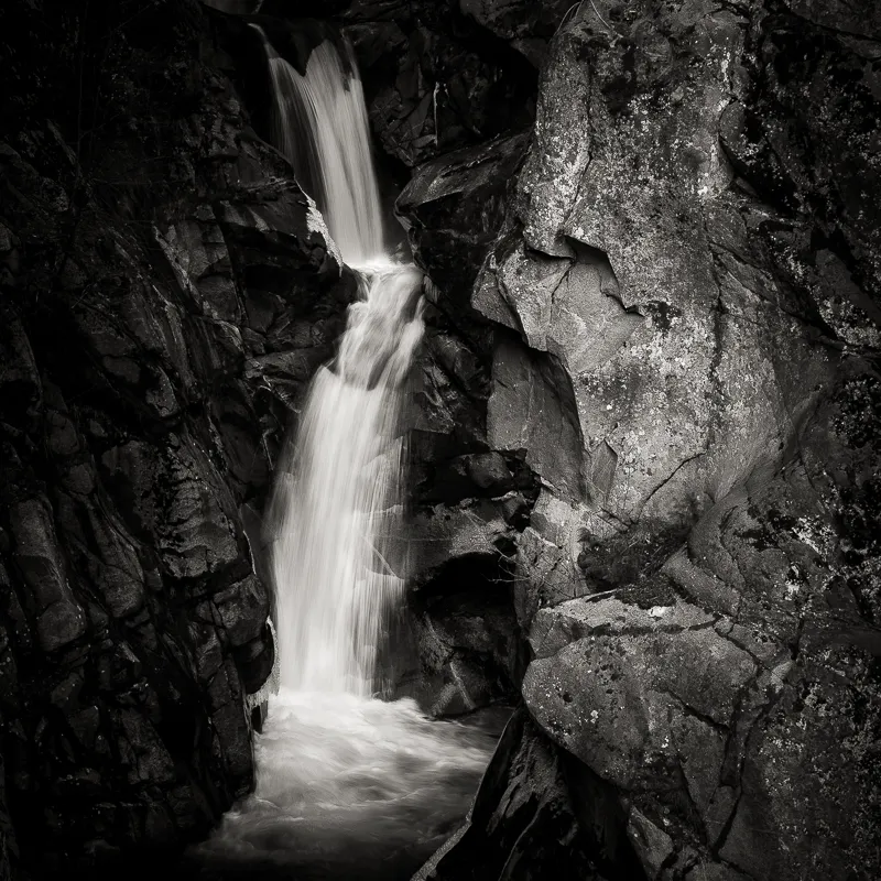 Christine Falls